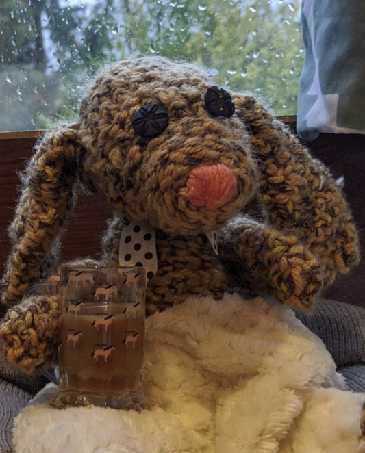 The Birth of Emby: A Tale of Sustainable Creativity in Crochet